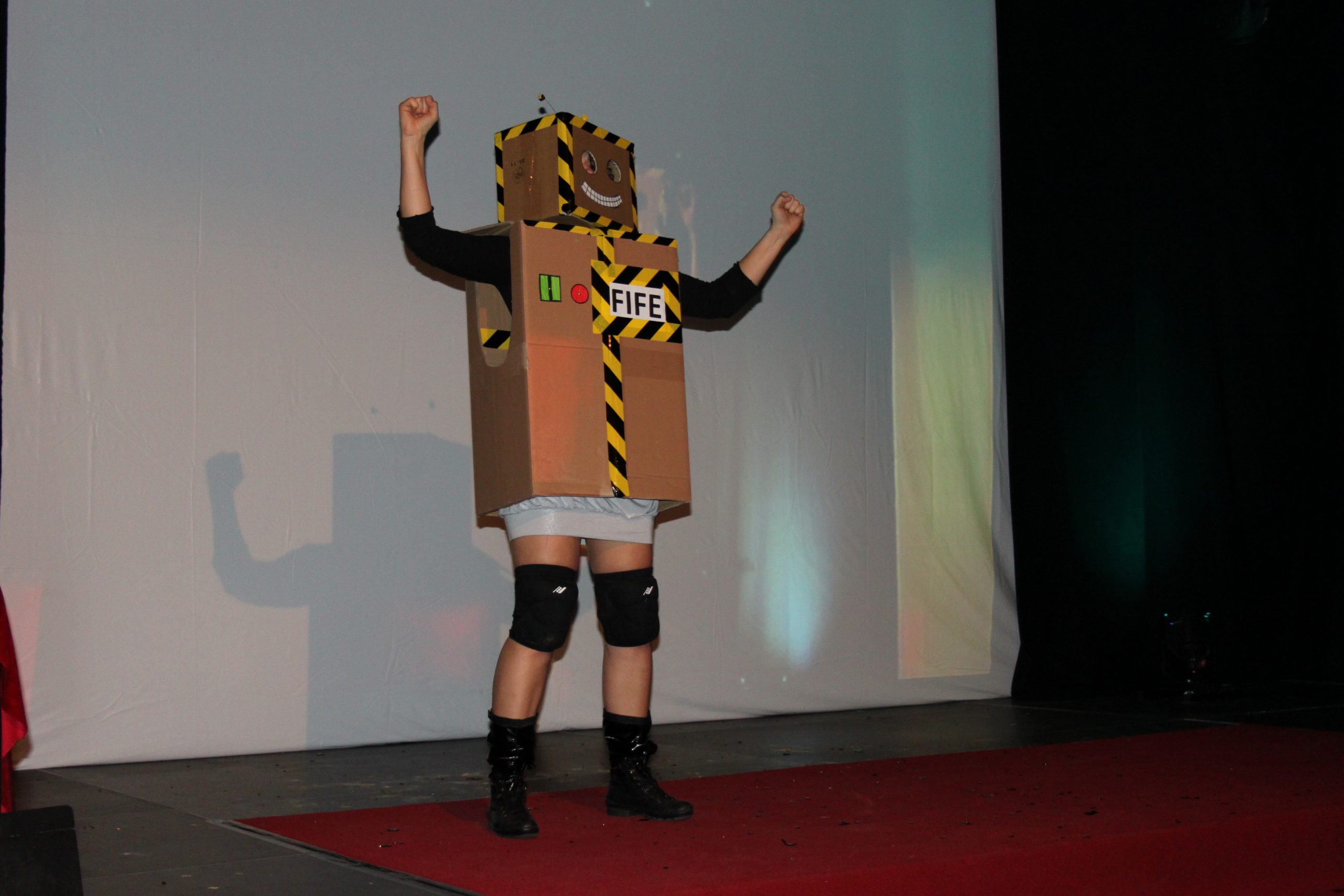7. MiKiFiFe 2011: Impressionen (5)